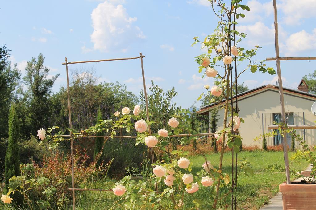 בית הארחה Pergine Valdarno 	Agriturismo Dimore Di Poggianto מראה חיצוני תמונה